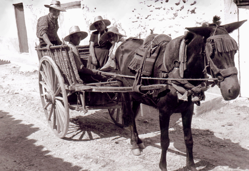 A la siega en carro