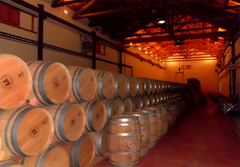 Bodega El Smbolo. Campo de Criptana