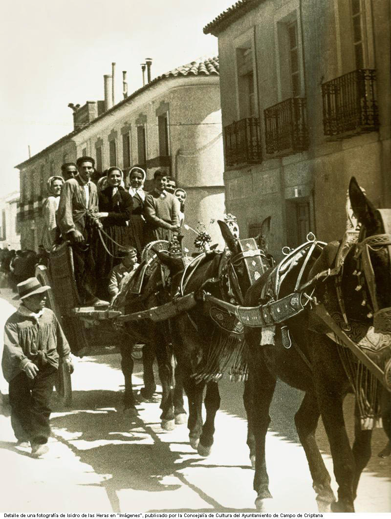 Arreos de mulas en la romera de la Virgen de Criptana. Aos 50