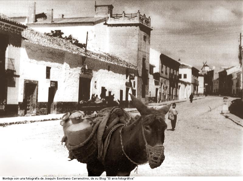 Borriquillo con cntaras de leche