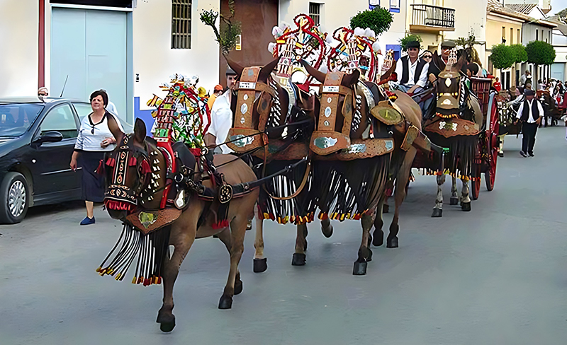 Romera de San Isidro