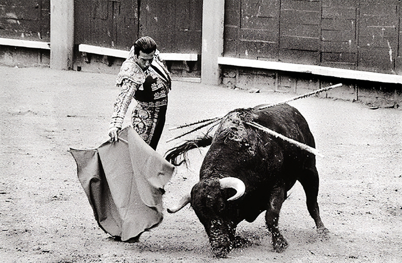 Los toros en televisin