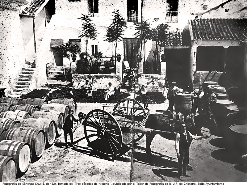 Bodega de Chapa