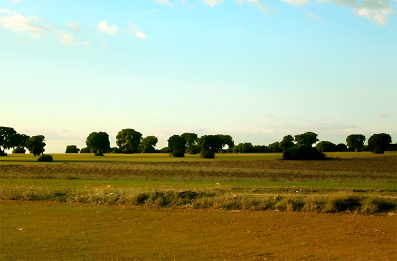 Monte de Chito