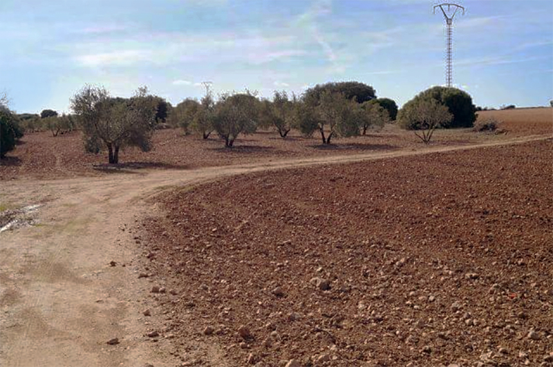 Cerro Lobero