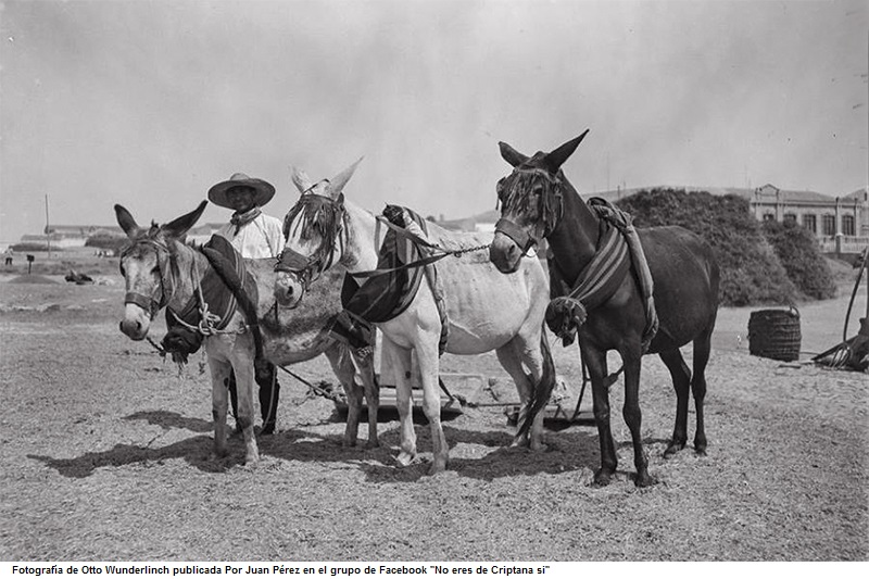 Eras del Pozo Hondo